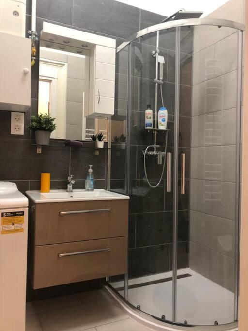 Apartment Lili Lakeside New Renovated