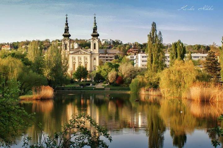 Lili Lakeside New Renovated Budapest