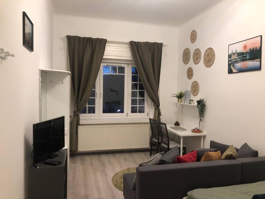 Lili Lakeside New Renovated Apartment